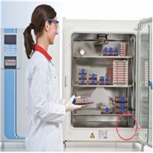 美国赛默飞Thermo Scientific HERAcell CO2培养箱 150i/240i 产品关键词:赛默飞240i