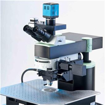 德国LaVision BioTec 双光子显微镜TriM Scope 产品关键词:光子la