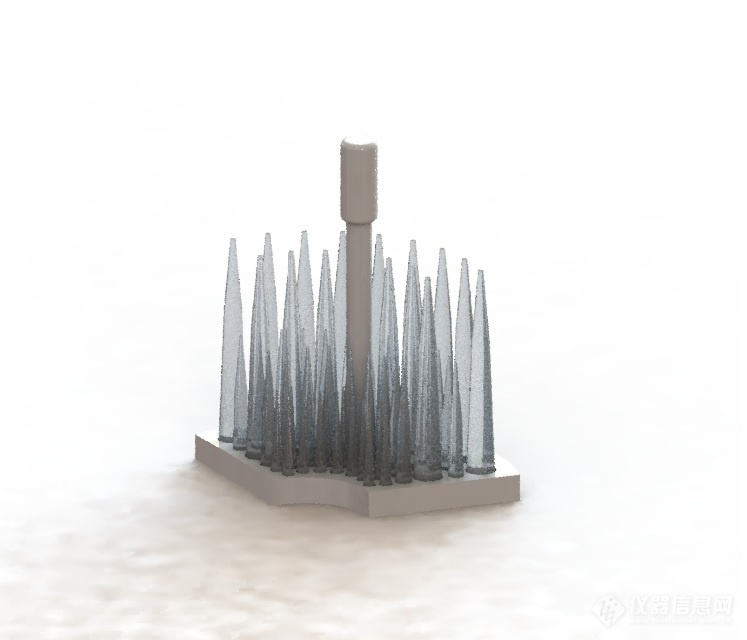 Pipette Tips Rack.JPG